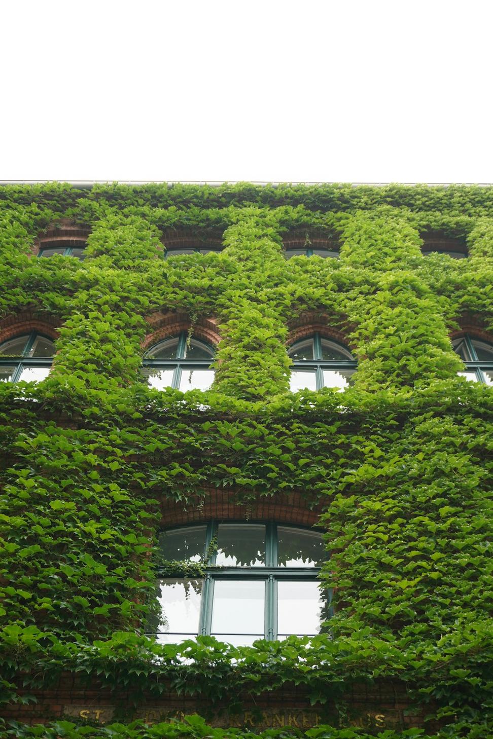 Sustainable Building Solutions